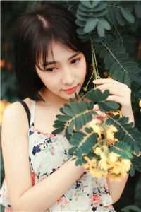 请对我撒娇小说全文阅读畅销小说推荐(许莓薛岑)全本免费在线阅读_许莓薛岑全文阅读