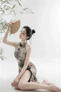 全章节阅读缝补陈木免费阅读