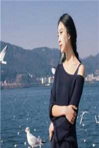 全章节阅读窝囊出击