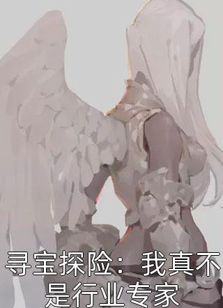 可云疯子的形象精品小说