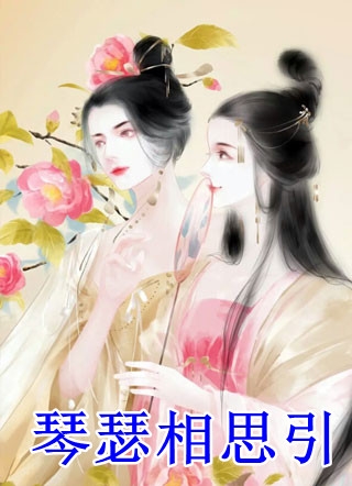 完整文本夏繁顾辞淮
