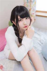 全本小说山寨之王