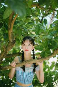 她毅然离婚！前夫追妻火葬场完整文集阅读
