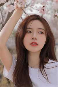 优质全文离婚吧，总裁大佬求放过