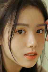 美人今嫁完整文本(洛染傅今安)全集阅读_美人今嫁完整文本最新章节阅读