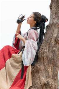 良心推荐《全文版我靠生子扬名兽世》白莹莹林夏全集免费阅读_《全文版我靠生子扬名兽世》最新章节免费在线阅读