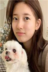 热门作品我的大小姐老婆