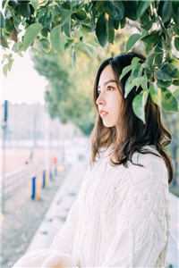 恍乎热门小说