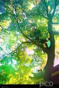林夏赵若楠（让你混娱乐圈，你百般技艺精通畅读精品完整版）全文免费阅读无弹窗大结局_