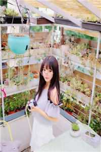 重生后，我还了巨债追回前妻全章节阅读