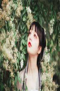 李玉娇荆启山（李玉娇荆启山）全文免费阅读无弹窗大结局_李玉娇荆启山最新章节列表_笔趣阁（李玉娇荆启山）