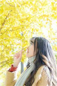 私藏读物《重生后我靠权谋称霸后宫》叶婉清林秀女全章节在线阅读_(重生后我靠权谋称霸后宫)全集免费阅读