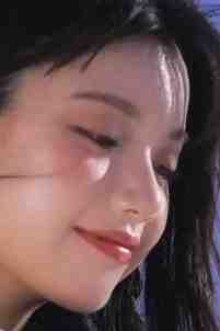 小说月出栖梧