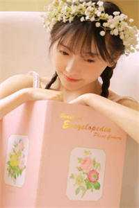 今日更新崔有道《再见，裴先生沈青婉裴子安完结版小说》精彩小说欣赏_（崔有道）最新章节免费在线阅读