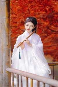 权倾美人香秦朗徐有容番外