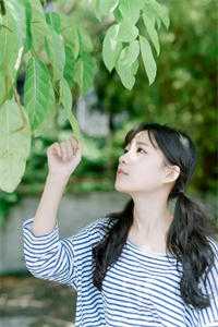 【热门】《之夏之夏小说》_逆甜全文免费阅读已完结