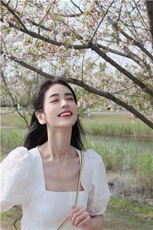 叶清欢林之许的小说月光不曾渡我