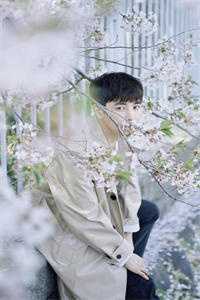《宋晚杨湛写的小说春色撩人全文阅读》米团子_(宋晚杨湛写的小说春色撩人全文阅读)全集在线阅读