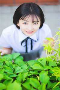 从秘书开始崛起郑青云卢文静后续 全文
